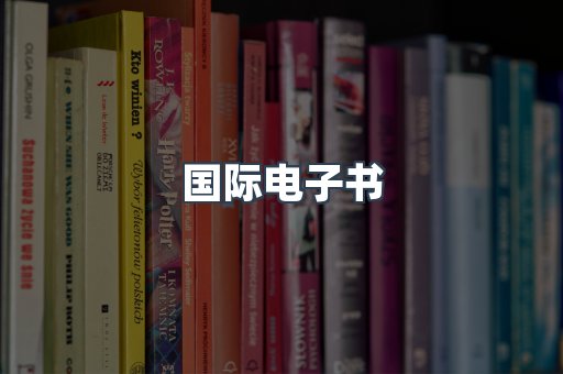 国际电子书
