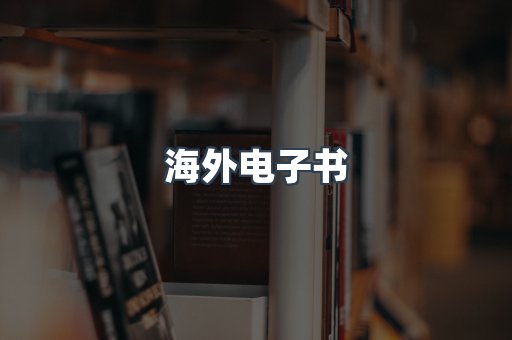 海外电子书
